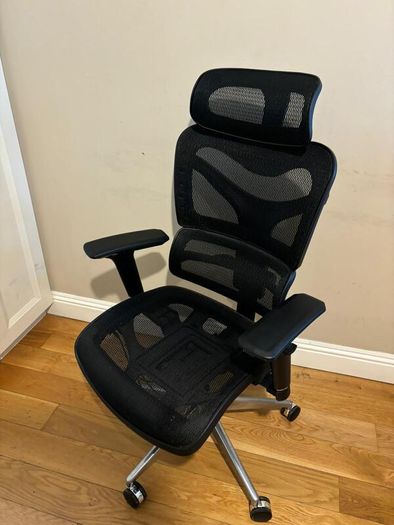 Dorsum Executive Ergonomic Mesh Office Chair (negotiable)