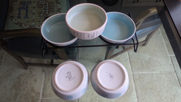 Cat Feeding Station