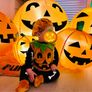 Baby Halloween Pumpkin 3Pcs Costume 6-12mo Image 5
