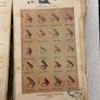 Fishing book Image 5