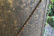 blackthorn walking stick