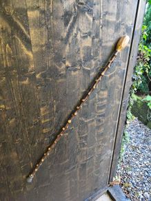 blackthorn walking stick