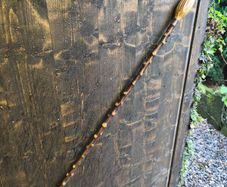 blackthorn walking stick