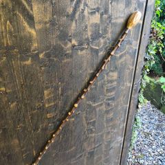 blackthorn walking stick