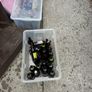 Homebrew Kit Image 7