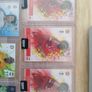 Topps Total Football Image 2
