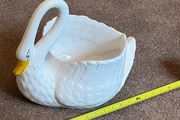 Swan
