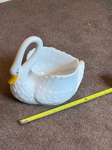 Swan