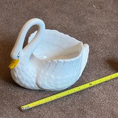Swan
