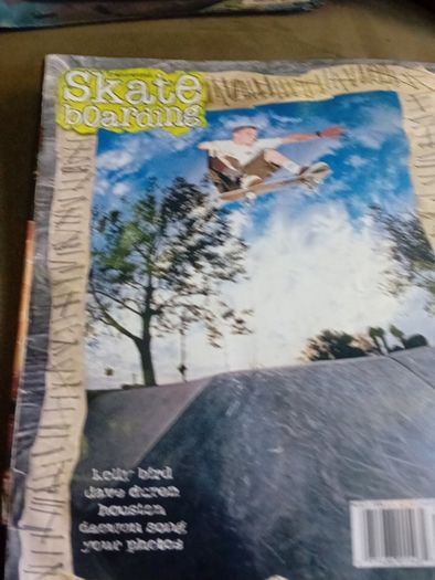 Skateboard Magazines