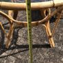 Wicker Glass Top Circular Table. Image 3