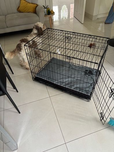 Dog Crate + mattress