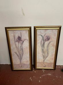 Framed tulips picture x2