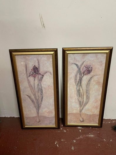 Framed tulips picture x2