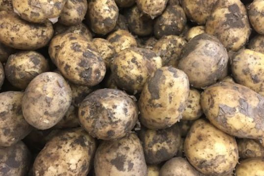 Potatoes for Sale...Beat the Supermarket!