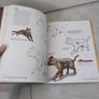 Stsn Lee's How To Draw Superheroes Book Image 10