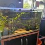 fish tank Image 2