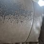 Sofa Image 2