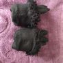 Black Faux Leather Gloves with Faux Fur Cuff Size Small Image 8