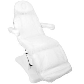 Disposable armchair cover with elastic band, 10 pcs.