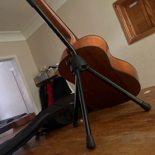Guitars