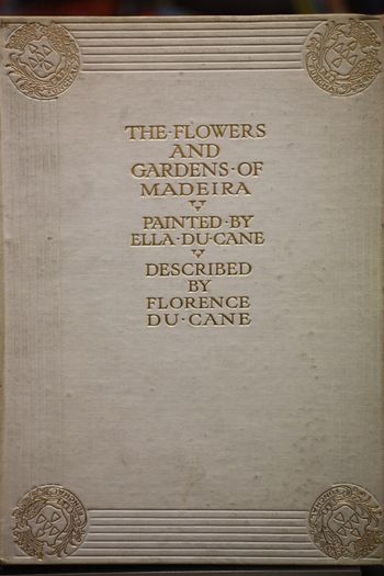 The Flowers and Gardens of Maderia.