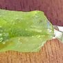 4.5 ct Green Peridot Crystal on 925 Silver bail Image 3