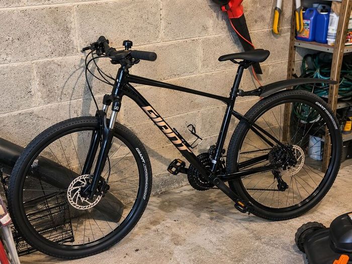 Giant Adults Bike