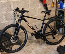 Giant Adults Bike