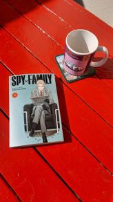Spy X Family Volume 1