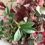 New bespoke XXL autumnal mulberry cascading wreath Image 4