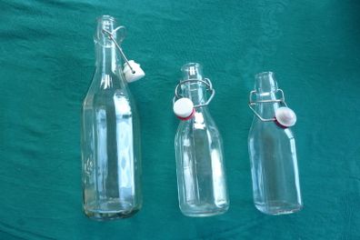 Bottles with swing top lids