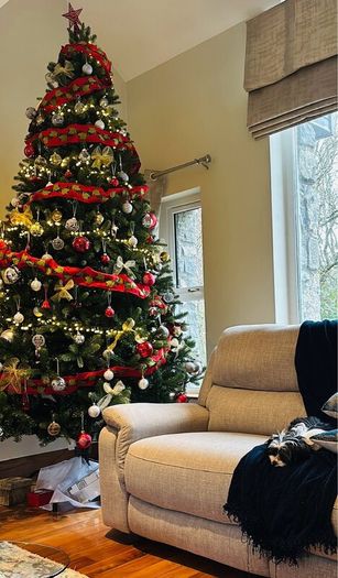 10ft Christmas Tree