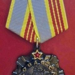 Russian  , ussr , red army, order of glory 3rd class.
