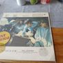 The Beatles A collection of  Beatles oldies IRISH  PRESS RARE 1977 press Image 7