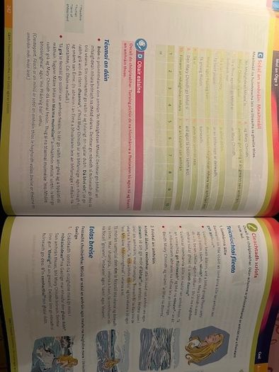 Mol an Oige ( both books)