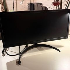 Ultrawide Monitor LG 26WQ500
