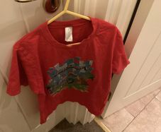 Minecraft T-shirt age 8