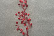 Clothing decoration-red flowers