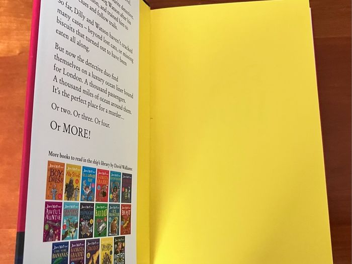 Super Sleuth by David Walliams
