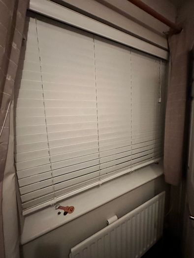 window blinds