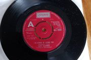 Quiet Elegance I'm afraid of loosing you 7" Demo Promo