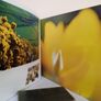 Wicklow: A Personal View by Walter Pfeiffer (Signed by the Author - Limited Edition) (PT227) Image 6