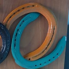 Lucky Decorated Irish horseshoes Twin Pack