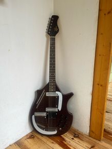 Rogue Electric Sitar