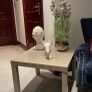 side table Image 3
