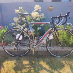 Flanders SR4 Alu Road Bike, Shimano Tiagra