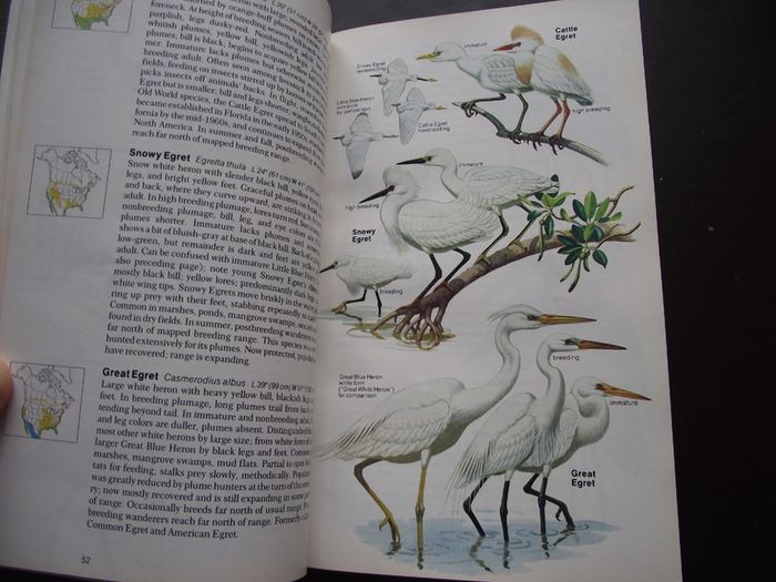 1987 "Field Guide To The Birds Of North America - National Geographic Society"