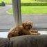 finnegan4911