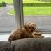 finnegan4911